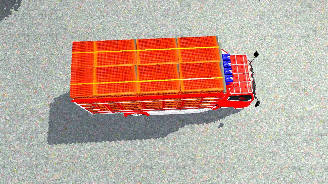 Photo of Canter Ayam Custom Budesign 6